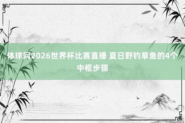 体球网2026世界杯比赛直播 夏日野钓草鱼的4个中枢步骤