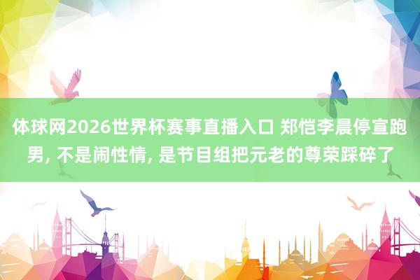 体球网2026世界杯赛事直播入口 郑恺李晨停宣跑男, 不