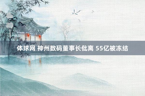 体球网 神州数码董事长仳离 55亿被冻结