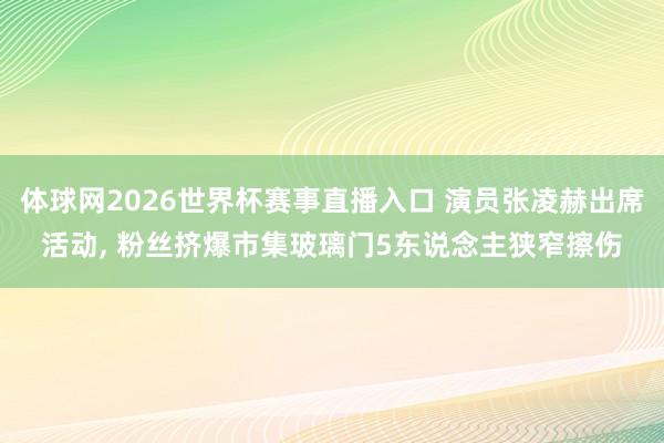 体球网2026世界杯赛事直播入口 演员张凌赫出席活动, 粉丝挤爆市集玻璃门5东说念主狭窄擦伤