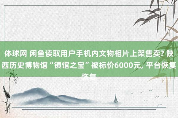 体球网 闲鱼读取用户手机内文物相片上架售卖? 陕西历史博物馆“镇馆之宝”被标价6000元, 平台恢复