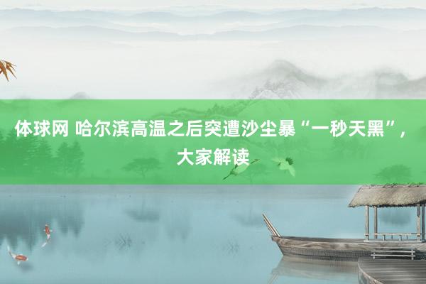 体球网 哈尔滨高温之后突遭沙尘暴“一秒天黑”, 大家解读