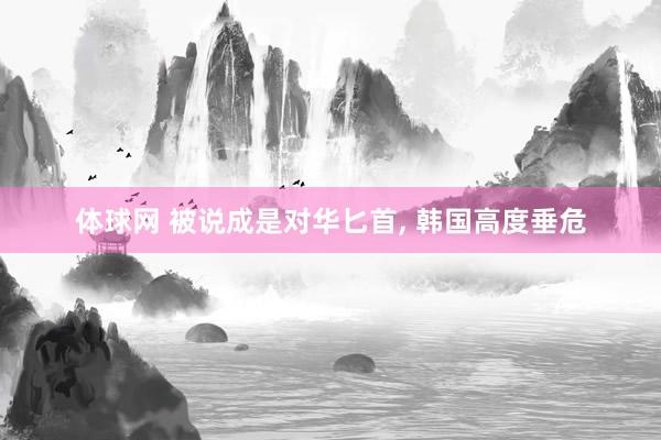 体球网 被说成是对华匕首, 韩国高度垂危
