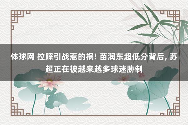 体球网 拉踩引战惹的祸! 苗润东超低分背后, 苏超正在被越来越多球迷胁制