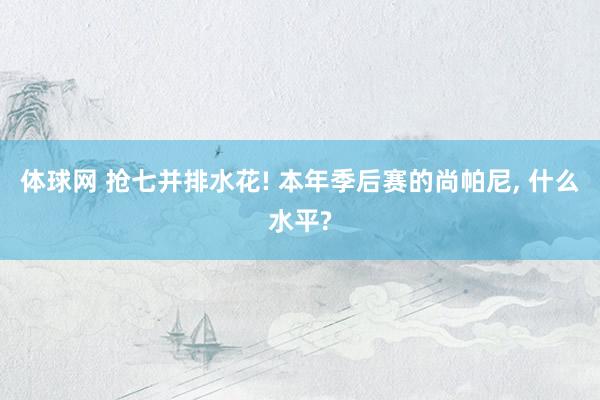 体球网 抢七并排水花! 本年季后赛的尚帕尼, 什么水平?