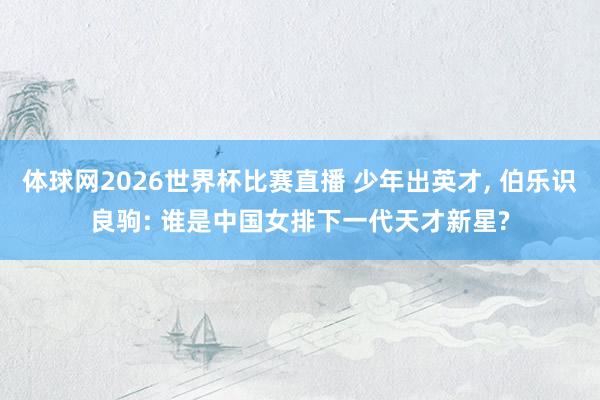 体球网2026世界杯比赛直播 少年出英才, 伯乐识良驹: 谁是中国女排下一代天才新星?