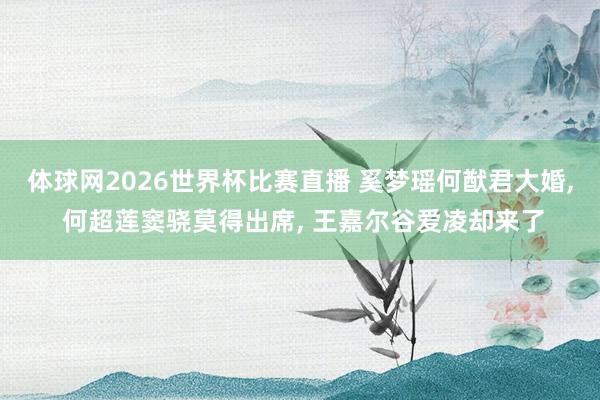 体球网2026世界杯比赛直播 奚梦瑶何猷君大婚, 何超莲窦骁莫得出席, 王嘉尔谷爱凌却来了