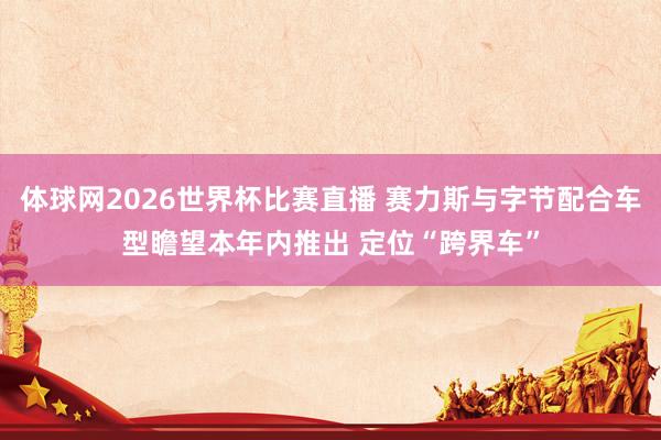 体球网2026世界杯比赛直播 赛力斯与字节配合车型瞻望本年内推出 定位“跨界车”
