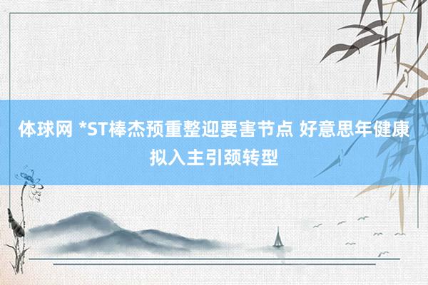 体球网 *ST棒杰预重整迎要害节点 好意思年健康拟入主引颈转型