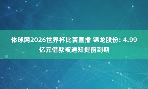 体球网2026世界杯比赛直播 锦龙股份: 4.99亿元借款被通知提前到期