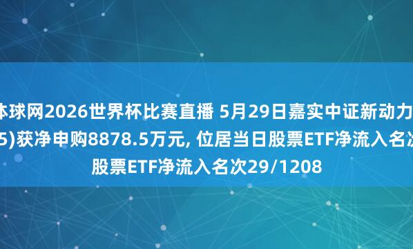 体球网2026世界杯比赛直播 5月29日嘉实中证新动力ETF(159875)获净申购8878.5万元, 位居当日股票ETF净流入名次29/1208