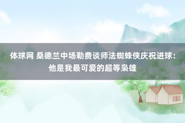 体球网 桑德兰中场勒费谈师法蜘蛛侠庆祝进球：他是我最可爱的超等枭雄