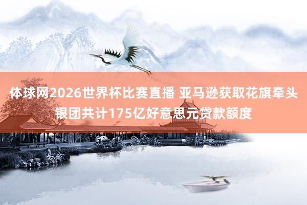 体球网2026世界杯比赛直播 亚马逊获取花旗牵头银团共计175亿好意思元贷款额度