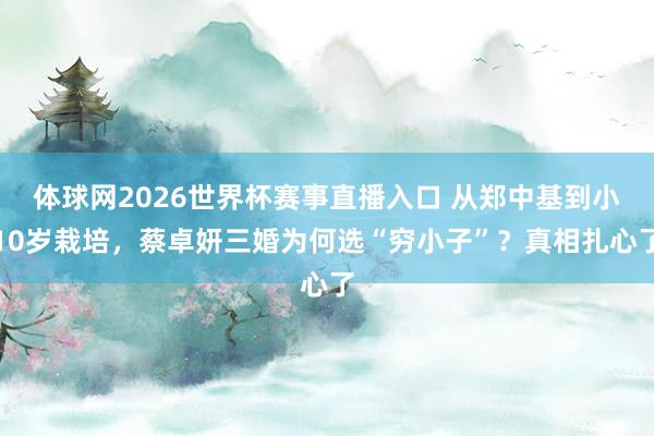 体球网2026世界杯赛事直播入口 从郑中基到小10岁栽培,蔡卓妍三婚为何选“穷小子”?真相扎心了