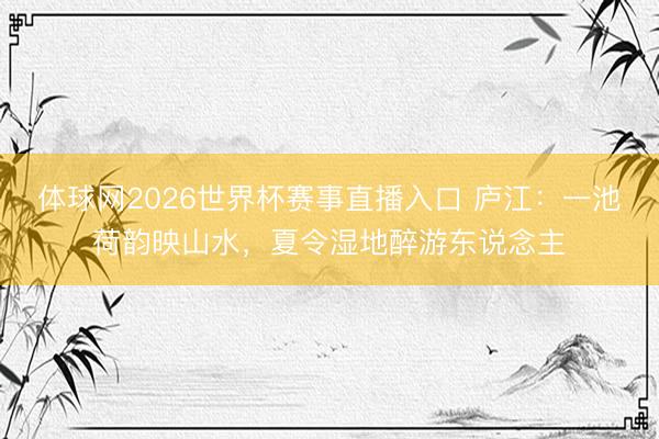 体球网2026世界杯赛事直播入口 庐江:一池荷韵映山水,夏令湿地醉游东说念主