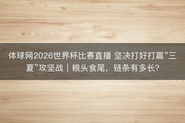 体球网2026世界杯比赛直播 坚决打好打赢“三夏”攻坚战｜粮头食尾，链条有多长？