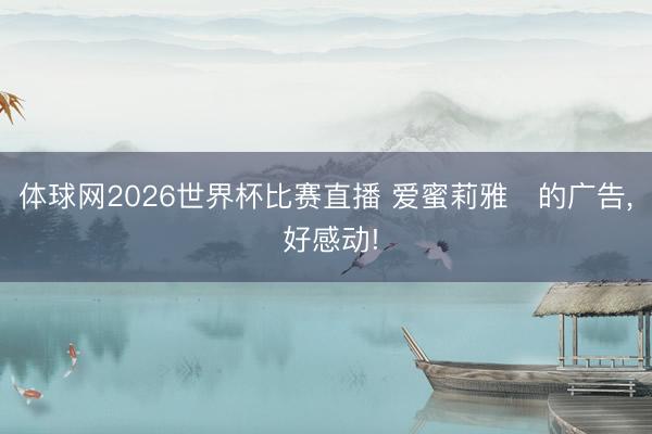 体球网2026世界杯比赛直播 爱蜜莉雅‌的广告， 好感动!