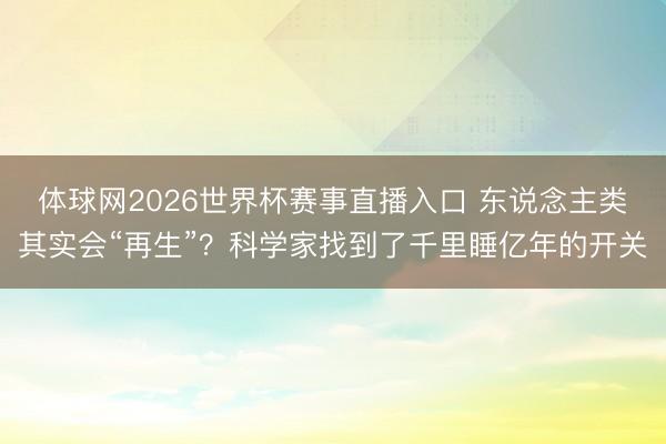 体球网2026世界杯赛事直播入口 东说念主类其实会“再生”?科学家找到了千里睡亿年的开关