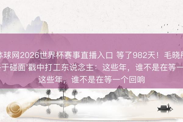 体球网2026世界杯赛事直播入口 等了982天!毛晓彤一句'终于碰面'戳中打工东说念主:这些年,谁不是在等一个回响
